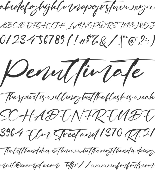 Brian Raja font preview