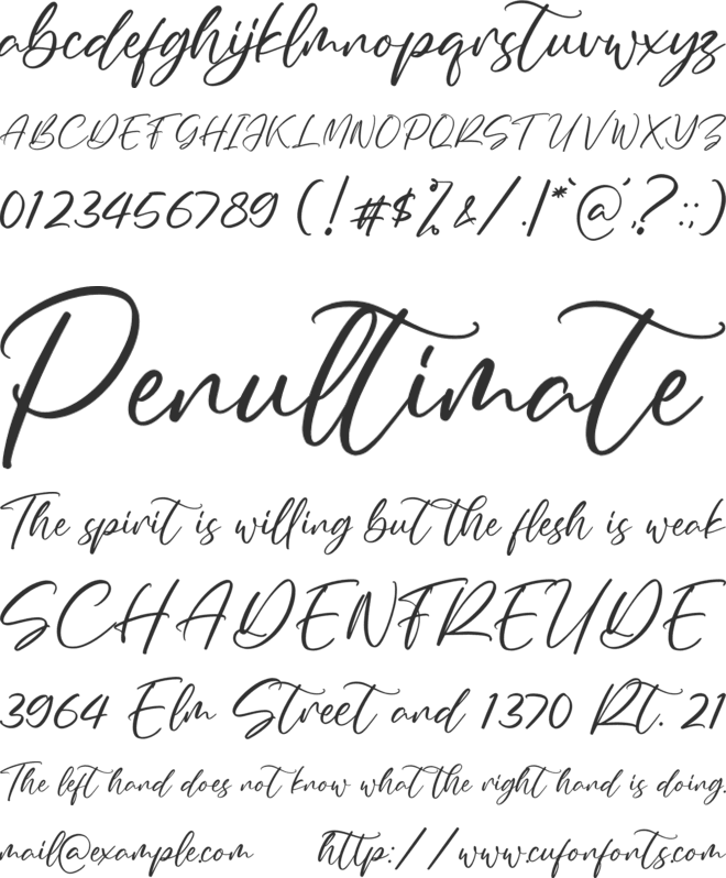 Summer Clarisa font preview