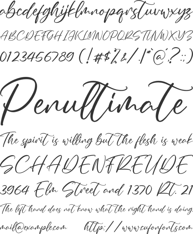 Summer Clarisa font preview