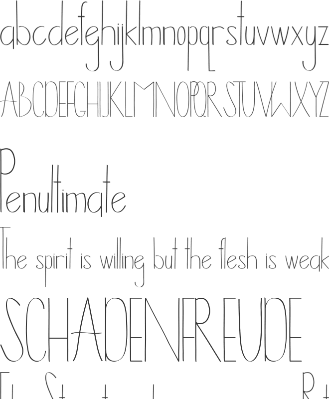 Timitty Demo font preview