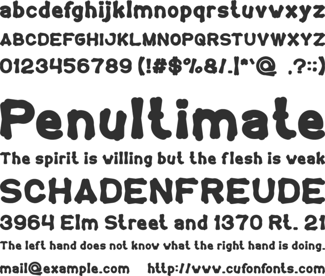 TORTOISE font preview
