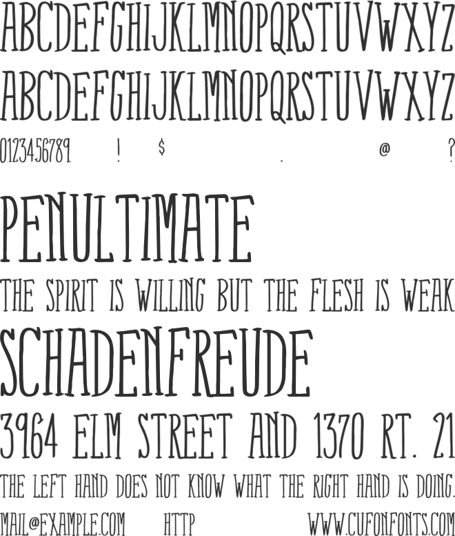 Fox Connection font preview