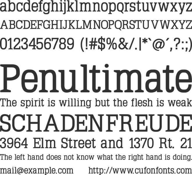 Typo Latin Serif font preview