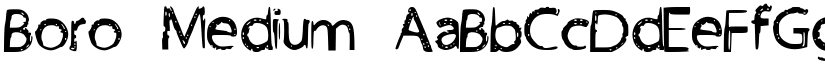 Boro Medium font