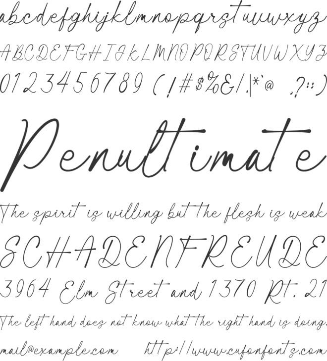 Blacklight Signature font preview