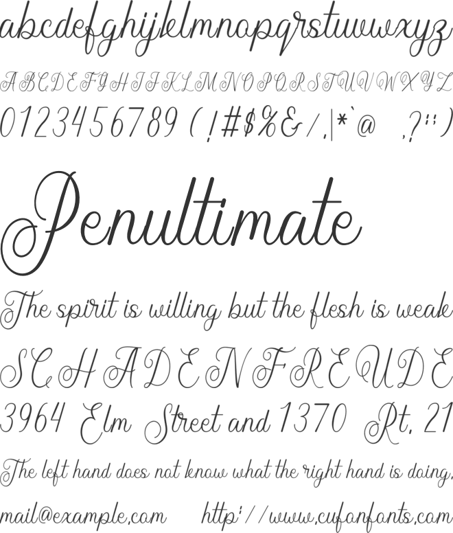 Bulmarie Script font preview