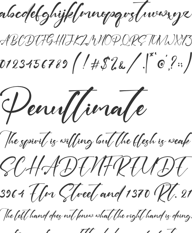 Diane Evans font preview