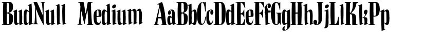 BudNull Medium font