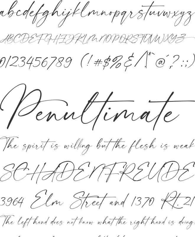 donitta - Personal Use font preview