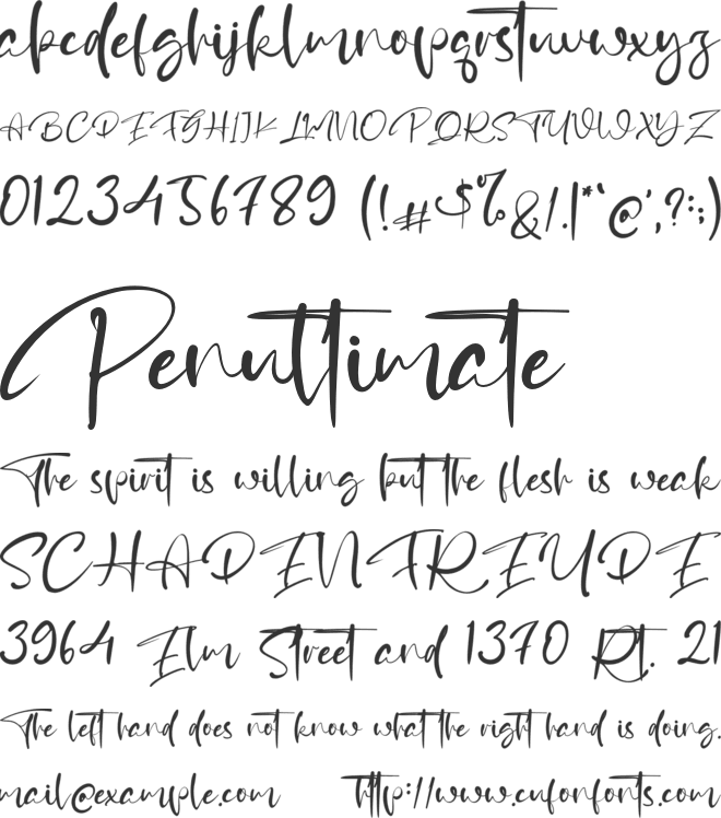 Delliga font preview