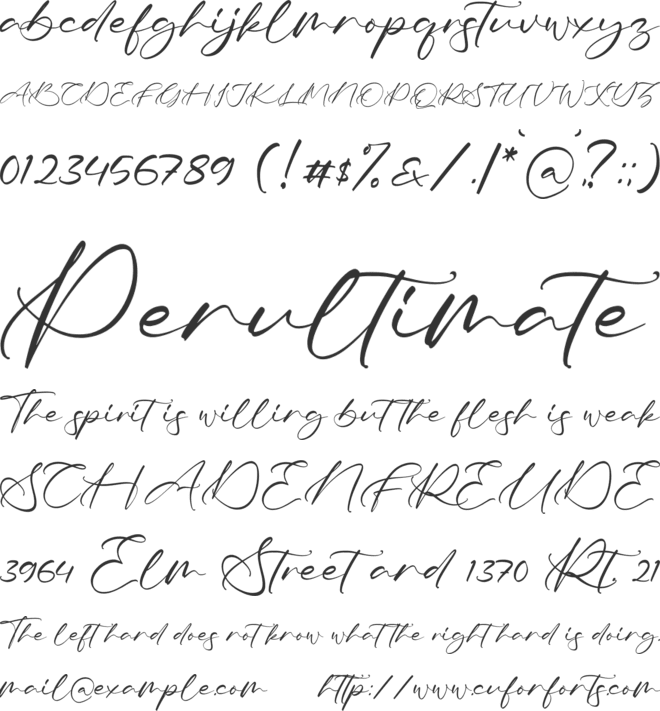 Tiara font preview