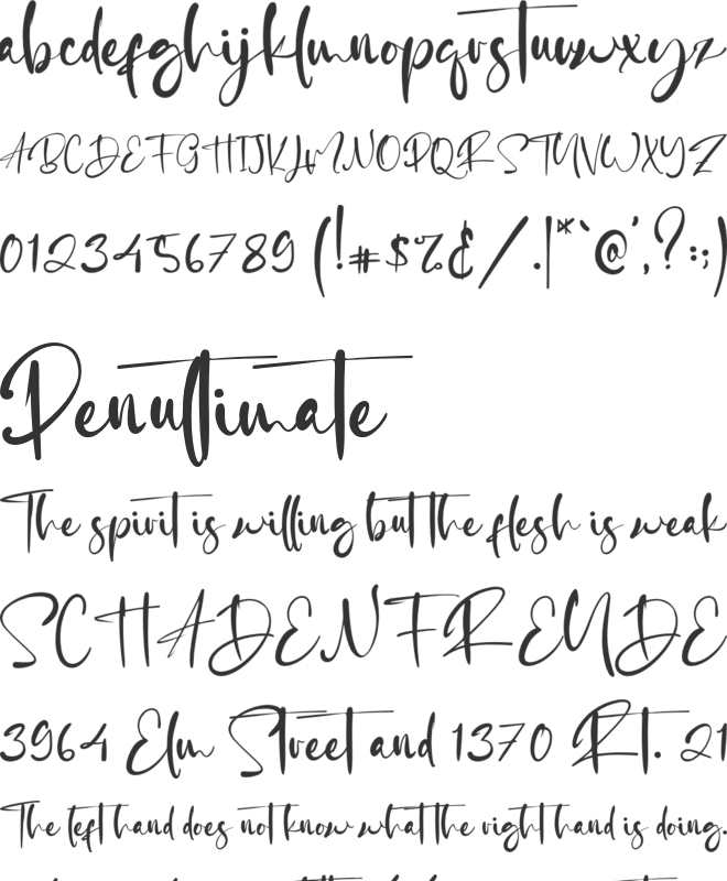 Jhon Allan font preview