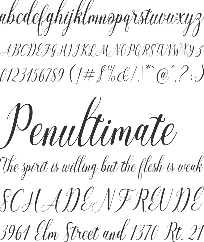 Perchaya Script font preview