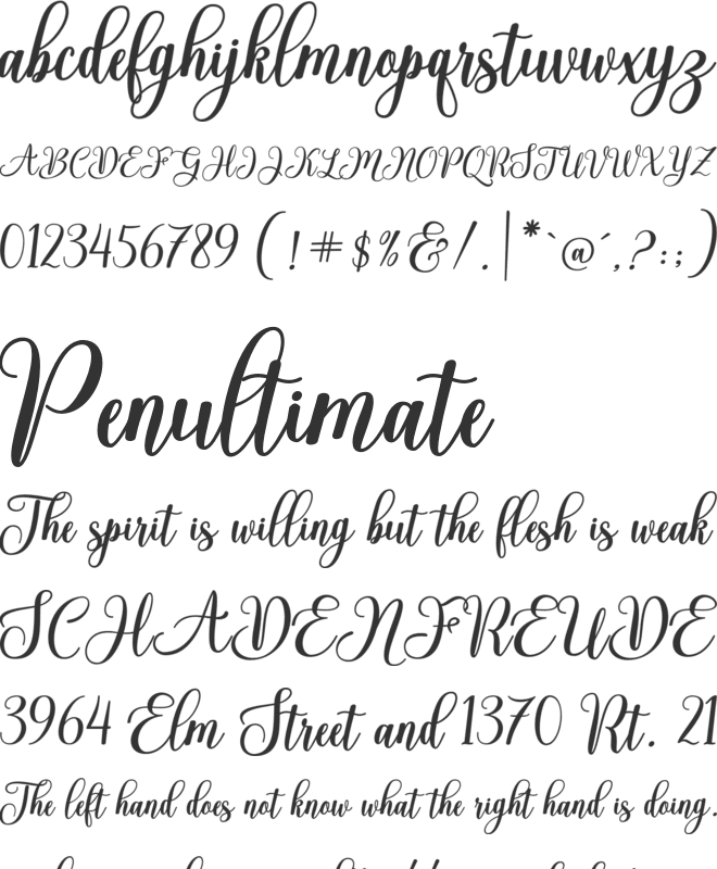 Gracilea Script font preview