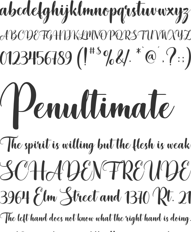 The Blacklight font preview