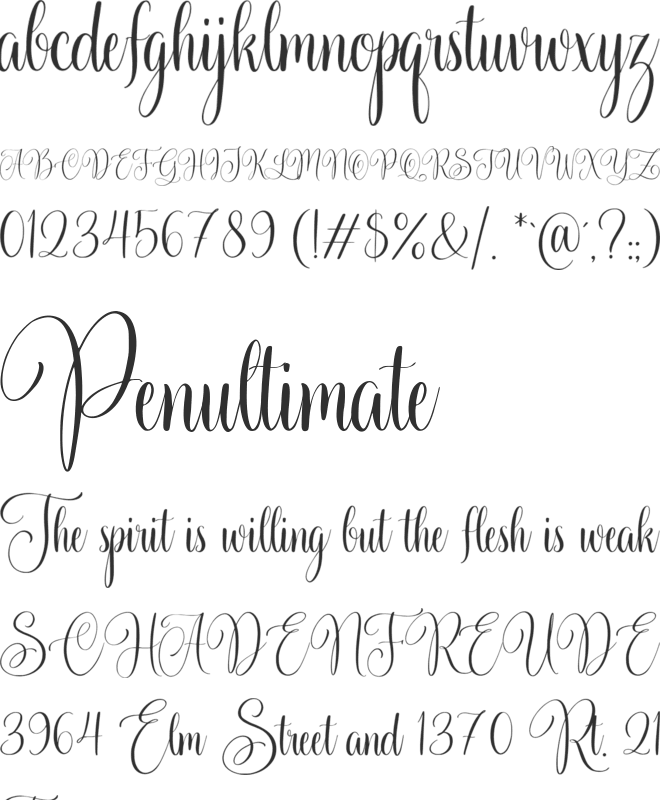 Beauty in the Starlight font preview