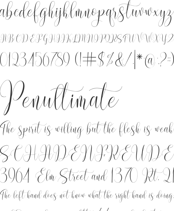 Wondelight font preview