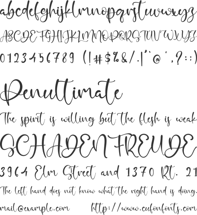 Playa Del Amor font preview