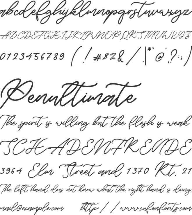 Bryan Coyne font preview