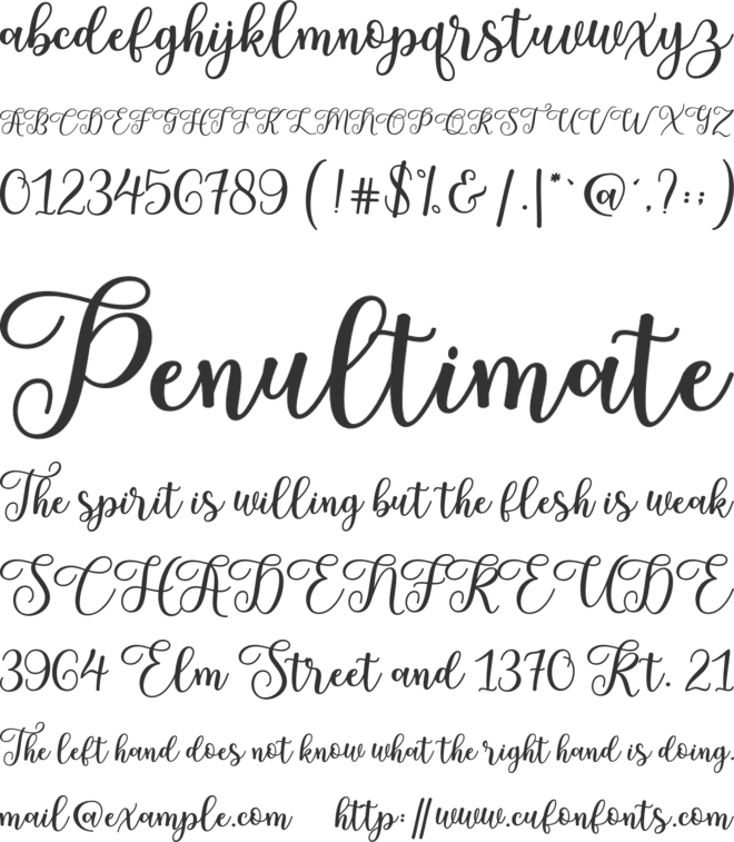 Sheyla font preview
