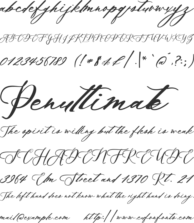 Signalis Script font preview