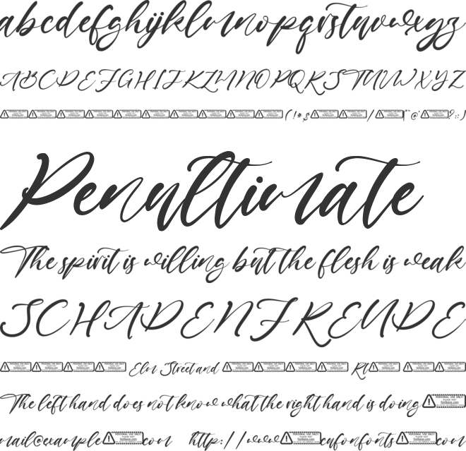 Daniel Jamie font preview