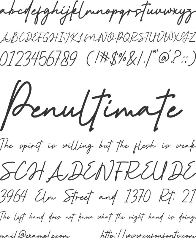 Andhira font preview