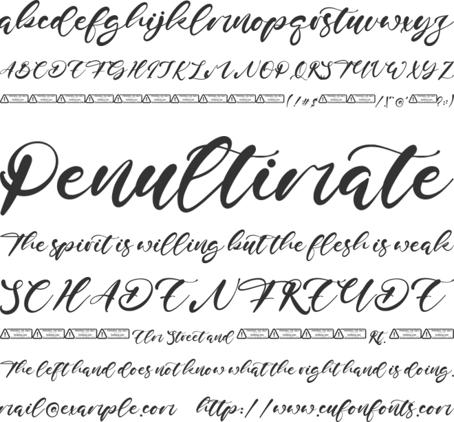 Brian Conor font preview