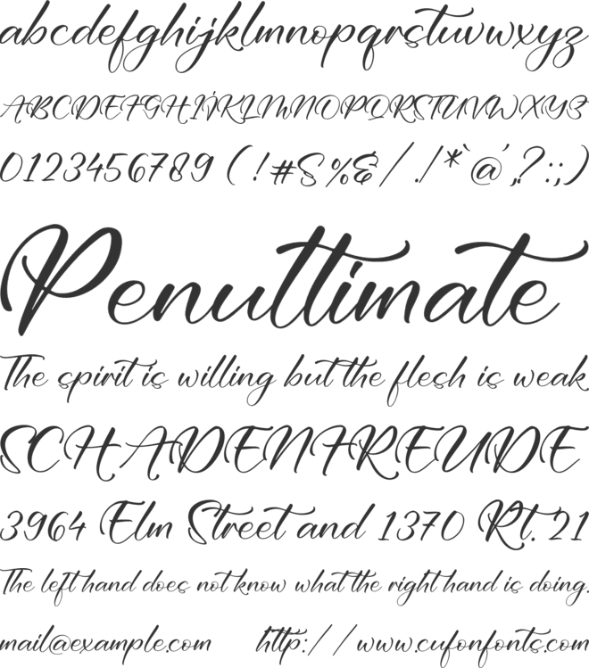Brittani Renata font preview
