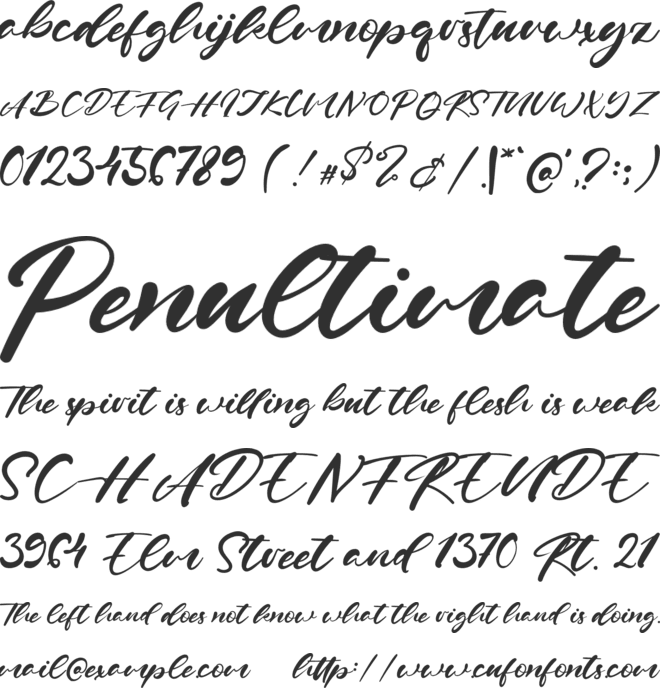 Petter Shao font preview