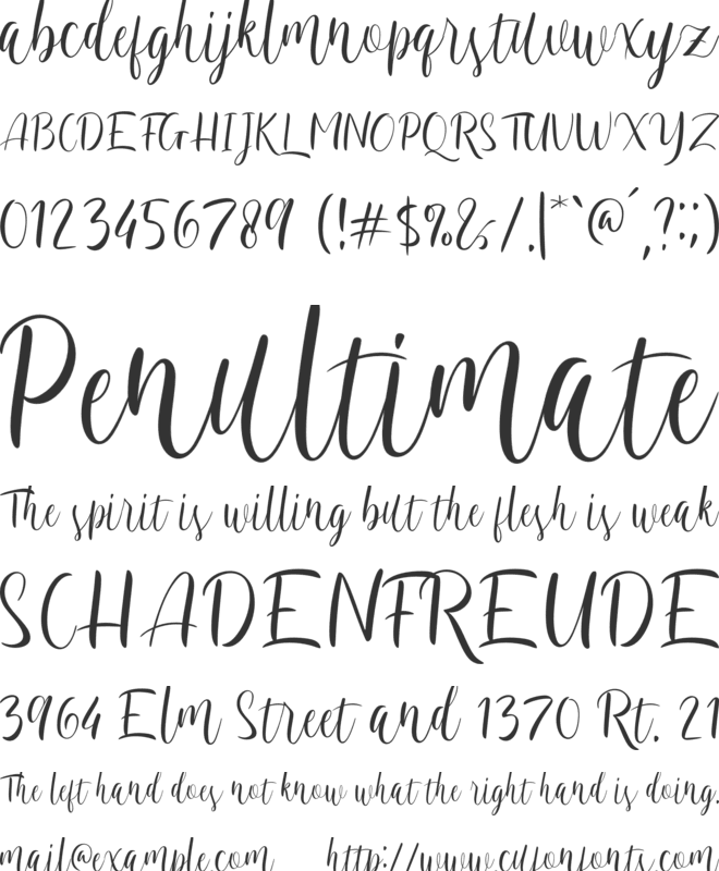Leticia font preview