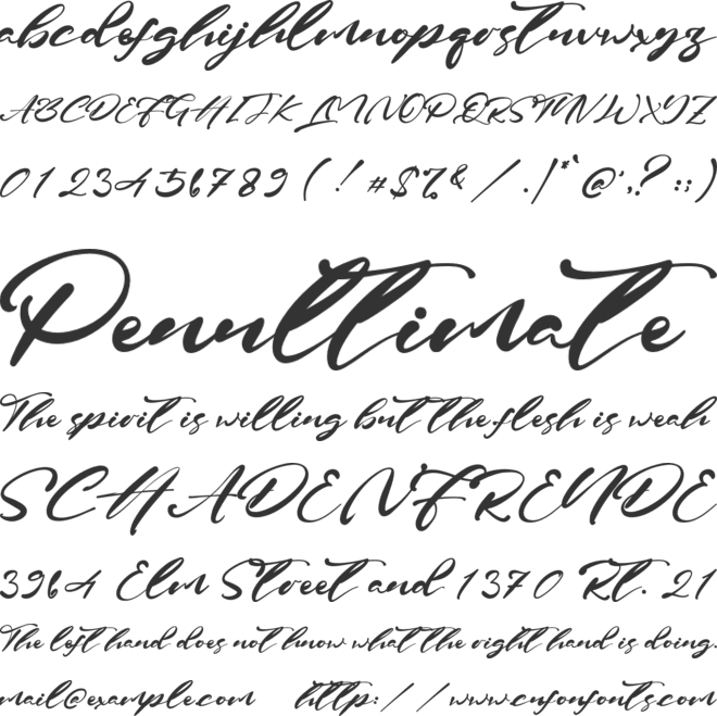 Caroline font preview