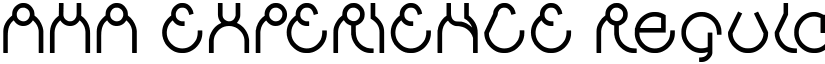AHA EXPERIENCE Regular font