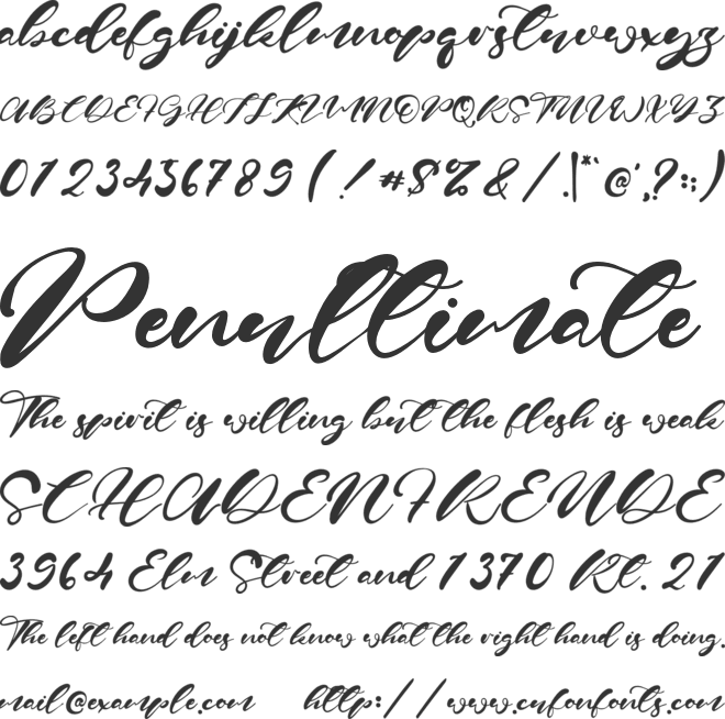 Jenny Parker font preview