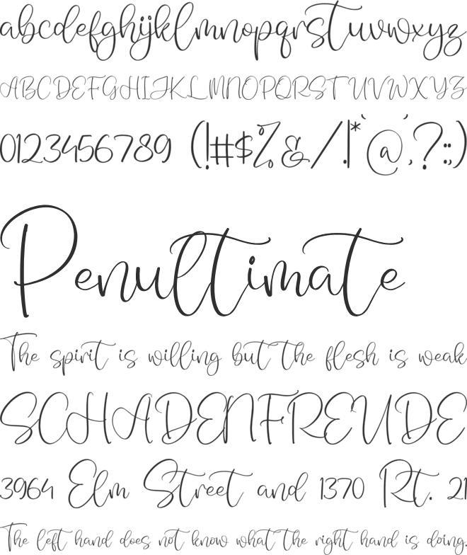 Monday Sunny font preview