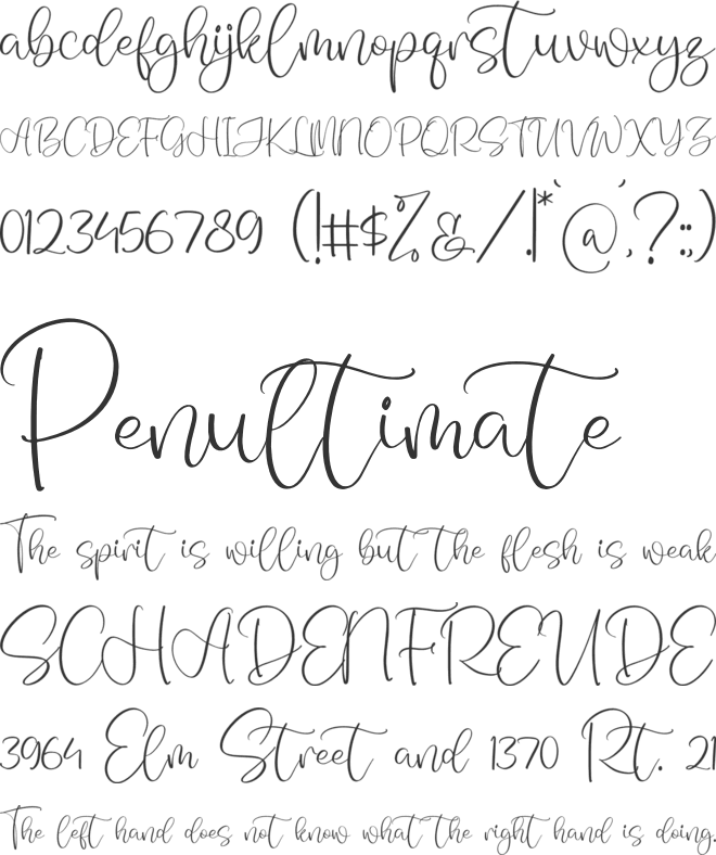 Monday Sunny font preview