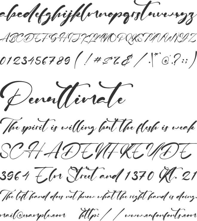 Windy Davis font preview