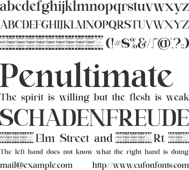 Ring Netlike font preview