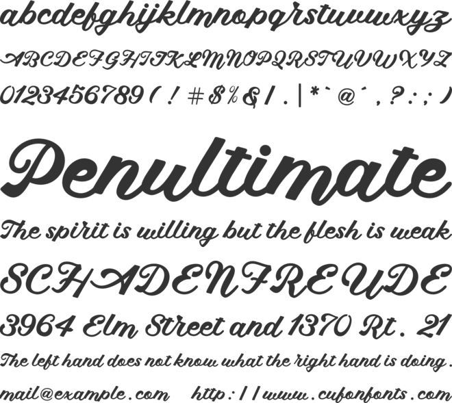 Maguira Script font preview