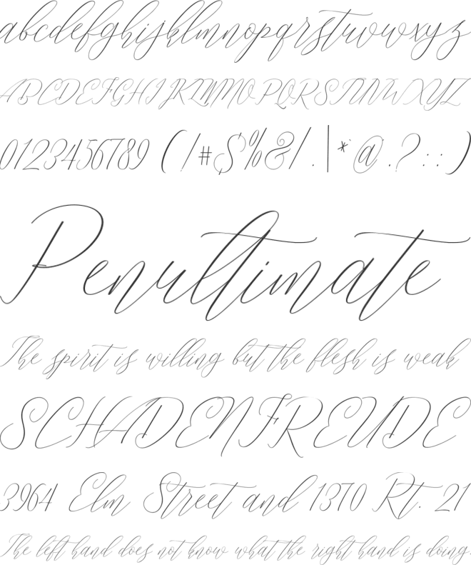 Daniela font preview