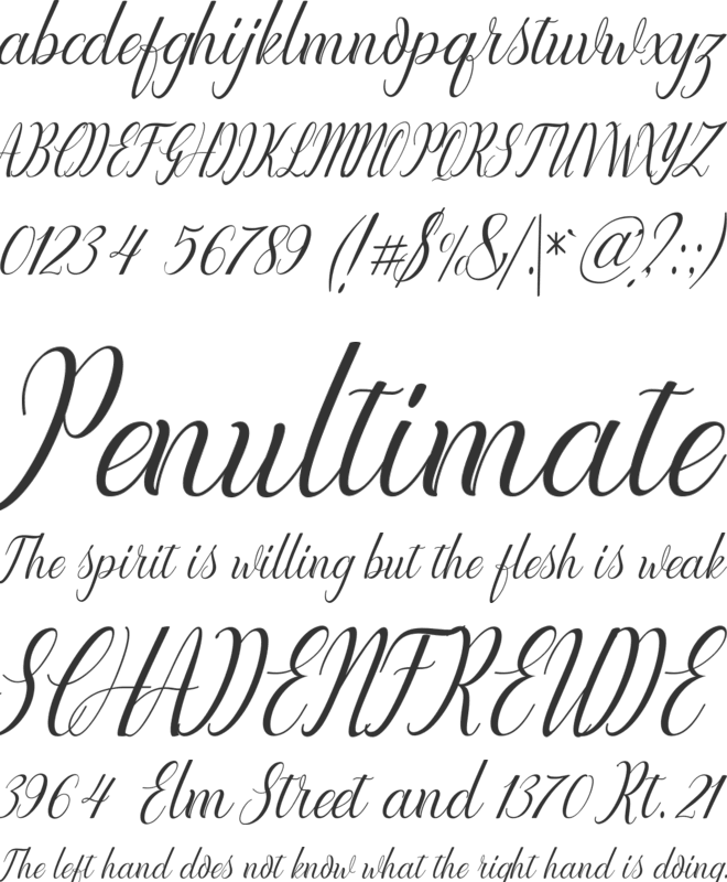 Lattonya font preview