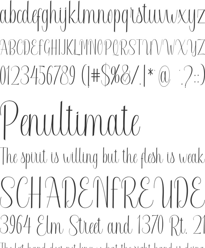 Radetta font preview