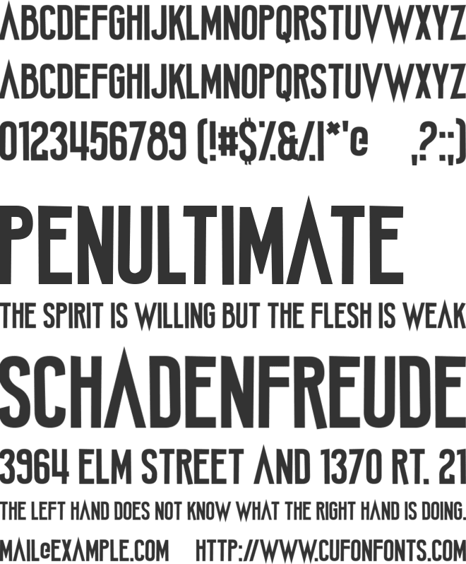 Amateur Camcorder font preview