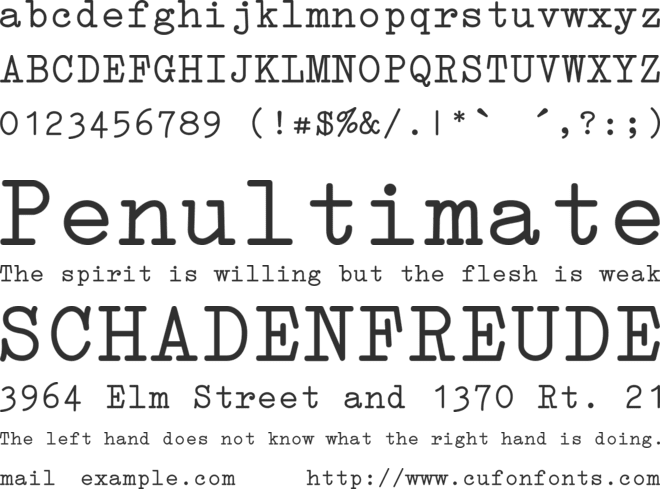 Erika Type font preview