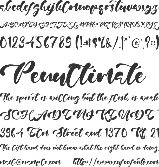 Jayne Oliver font preview