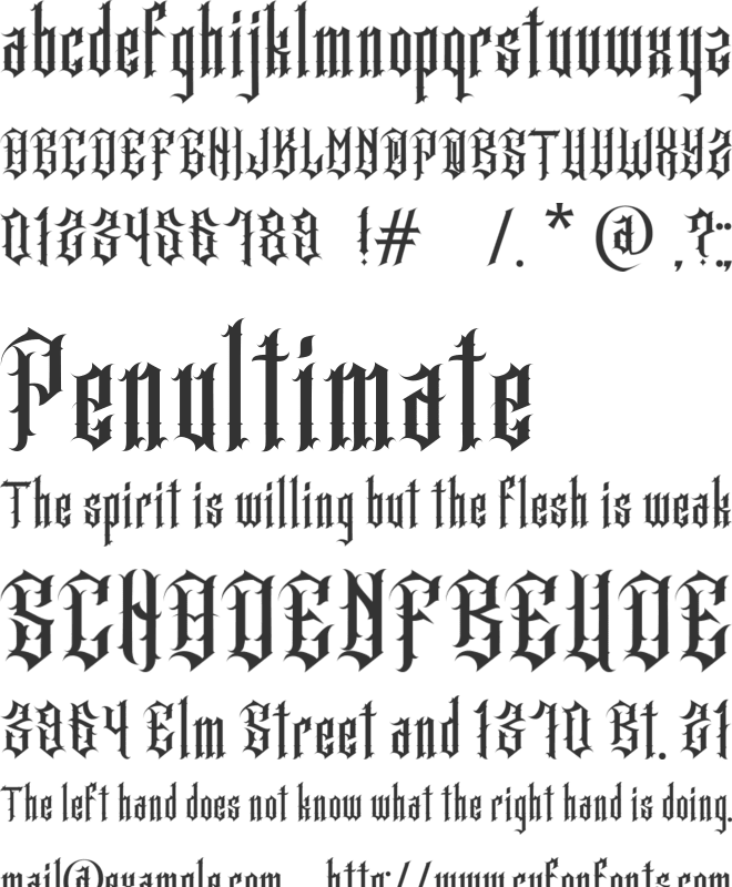 Cansetras font preview