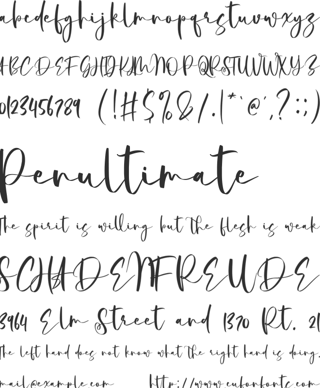 Strength Winter font preview