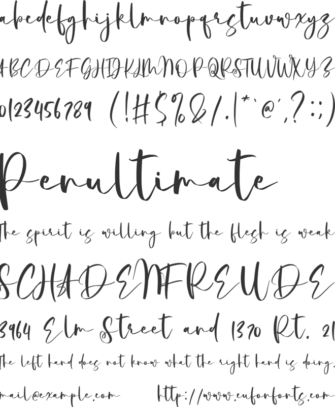 Strength Winter font preview