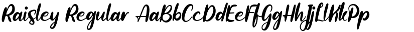Raisley font download