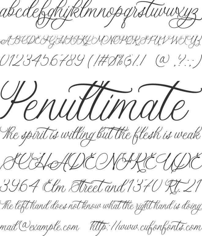 Beautiful Marry font preview